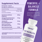MenoBurn